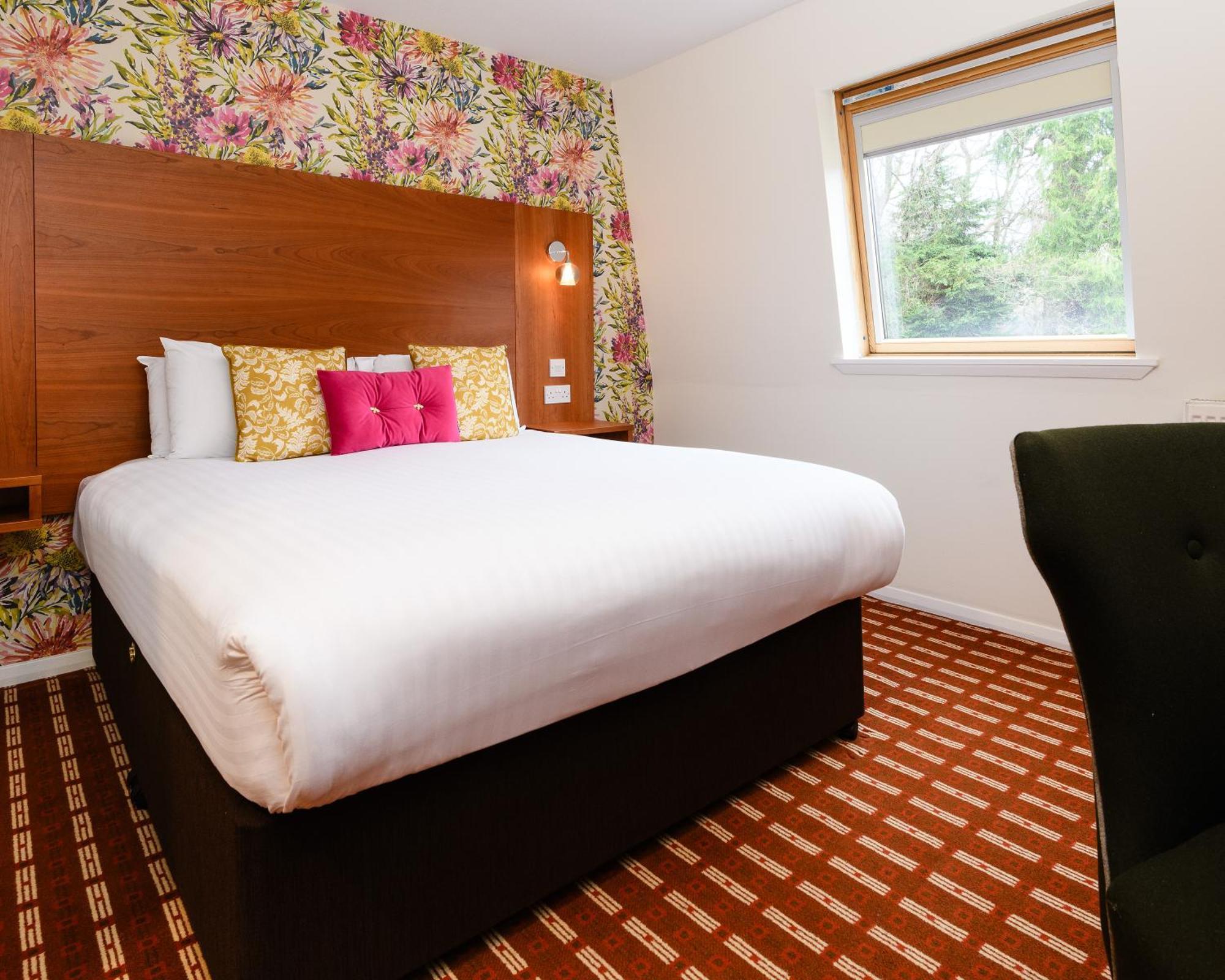 Cosy Double Room