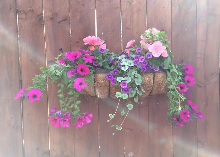 Pitlochry HotelsRosehill Guest House